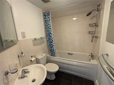 Picture 11